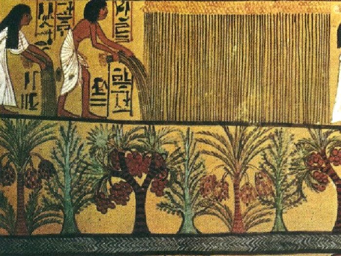 Пальмы на древних рисунках